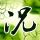 原版卡米尔蒙特护理学院毕业证【degxx.com】